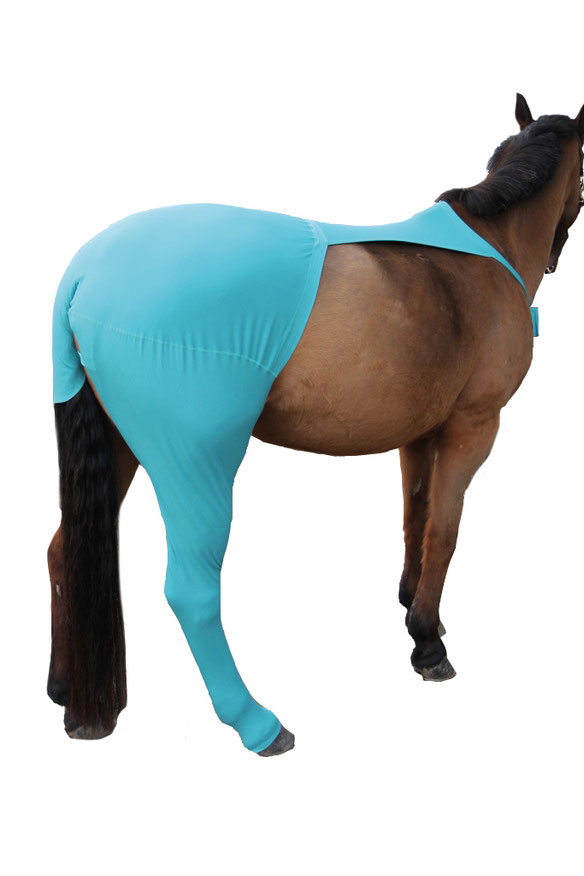 Bagbensforbinding Str. S/Pony